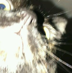 Meet your Posher, Juan